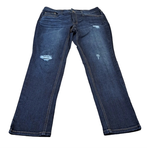 Time And True Jeans Woman's 16P Blue Skinny High Rise Stretch‎ Denim - Picture 1 of 12